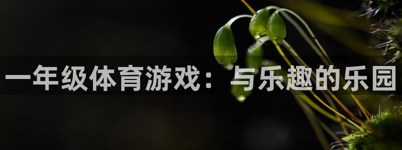 必一运动app：一年级体育游戏：与乐趣的乐园