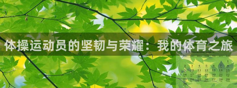 必一运动官网入口：体操运动员的坚韧与荣耀：我的体育之旅