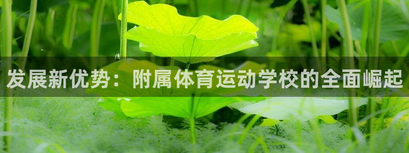 b体育必一运动官网：发展新优势：附属体育运动学校的全面崛起