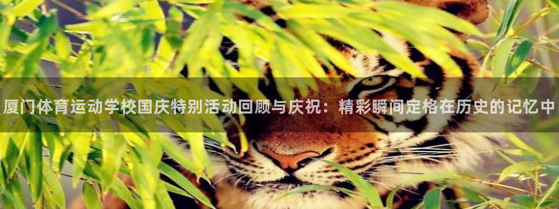 必一运动：厦门体育运动学校国庆特别活动回顾与庆祝：精彩瞬间定格在历史的记忆中