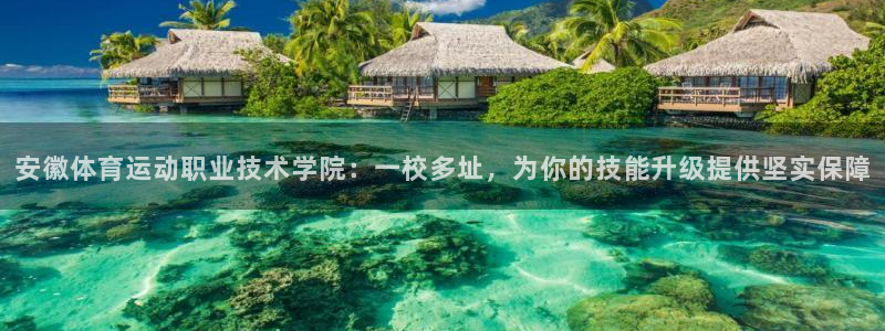 bsport必一运动：安徽体育运动职业技术学院：一校多址，为你的技能升级提供坚实保障