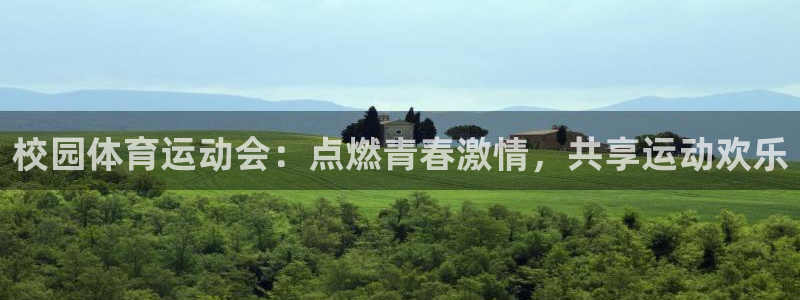 bsport必一运动：校园体育运动会：点燃青春激情，共享运动欢乐